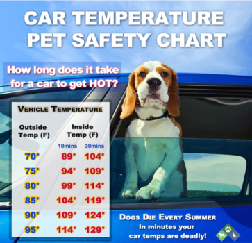Hot Car Temp Graphic