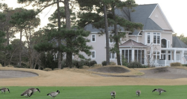 The golf courses at St. James Plantation, photographed during Curtis Richardson's visit in 2013. (Photo: Curtis Richardson)